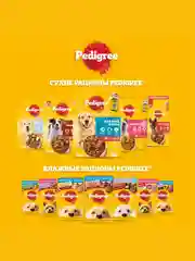 Сухой корм PEDIGREE® для собак миниатюрных пород, с говядиной, 600г