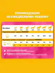 Сухой корм PEDIGREE® для собак миниатюрных пород, с говядиной, 600г