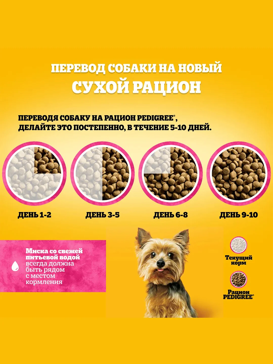 Сухой корм PEDIGREE® для собак миниатюрных пород, с говядиной, 600г