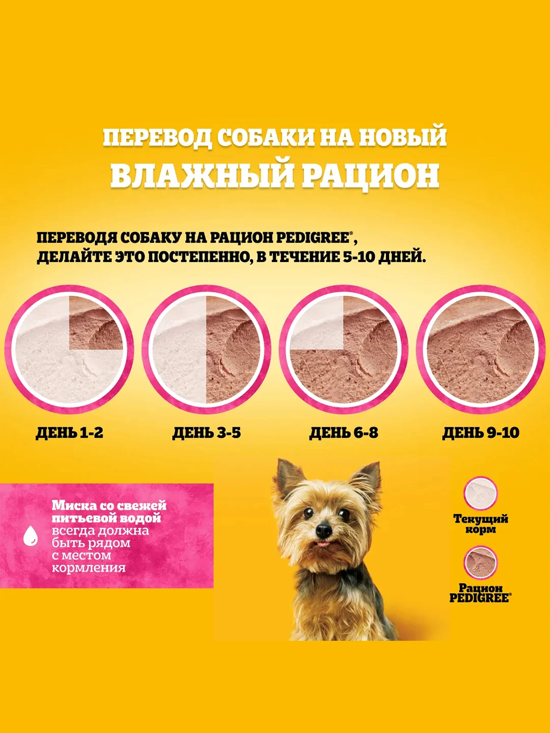 Влажный корм PEDIGREE® для миниатюрных пород, паштет с говядиной, 28x80г