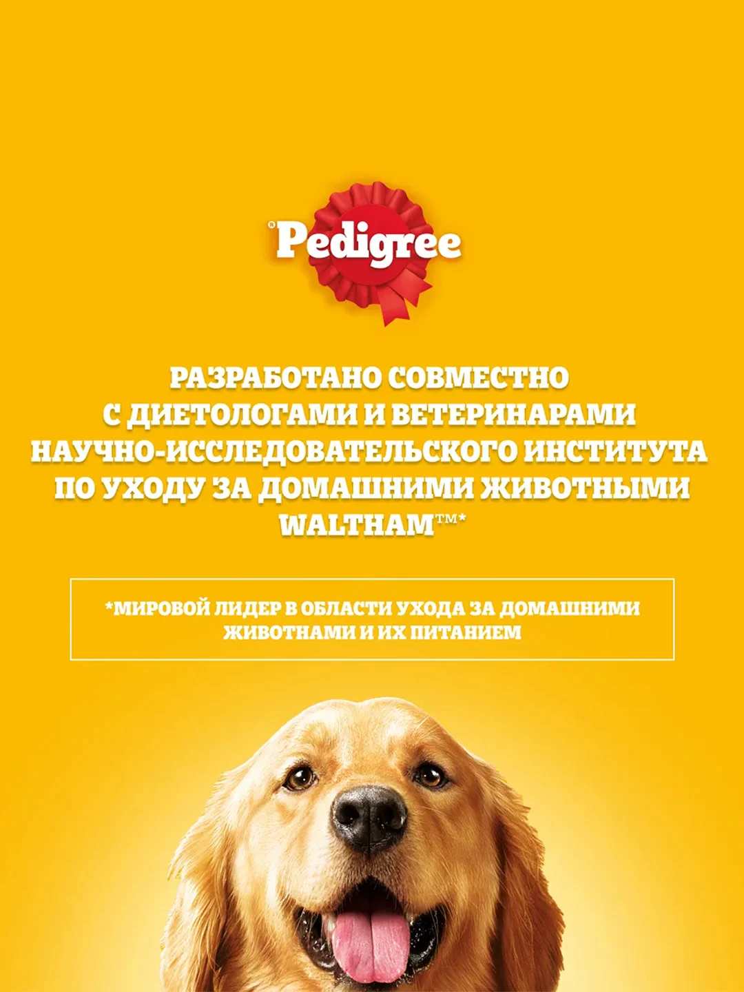 Влажный корм PEDIGREE® для миниатюрных пород, паштет с говядиной, 28x80г