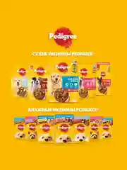 Влажный корм PEDIGREE® для миниатюрных пород, паштет с говядиной, 28x80г