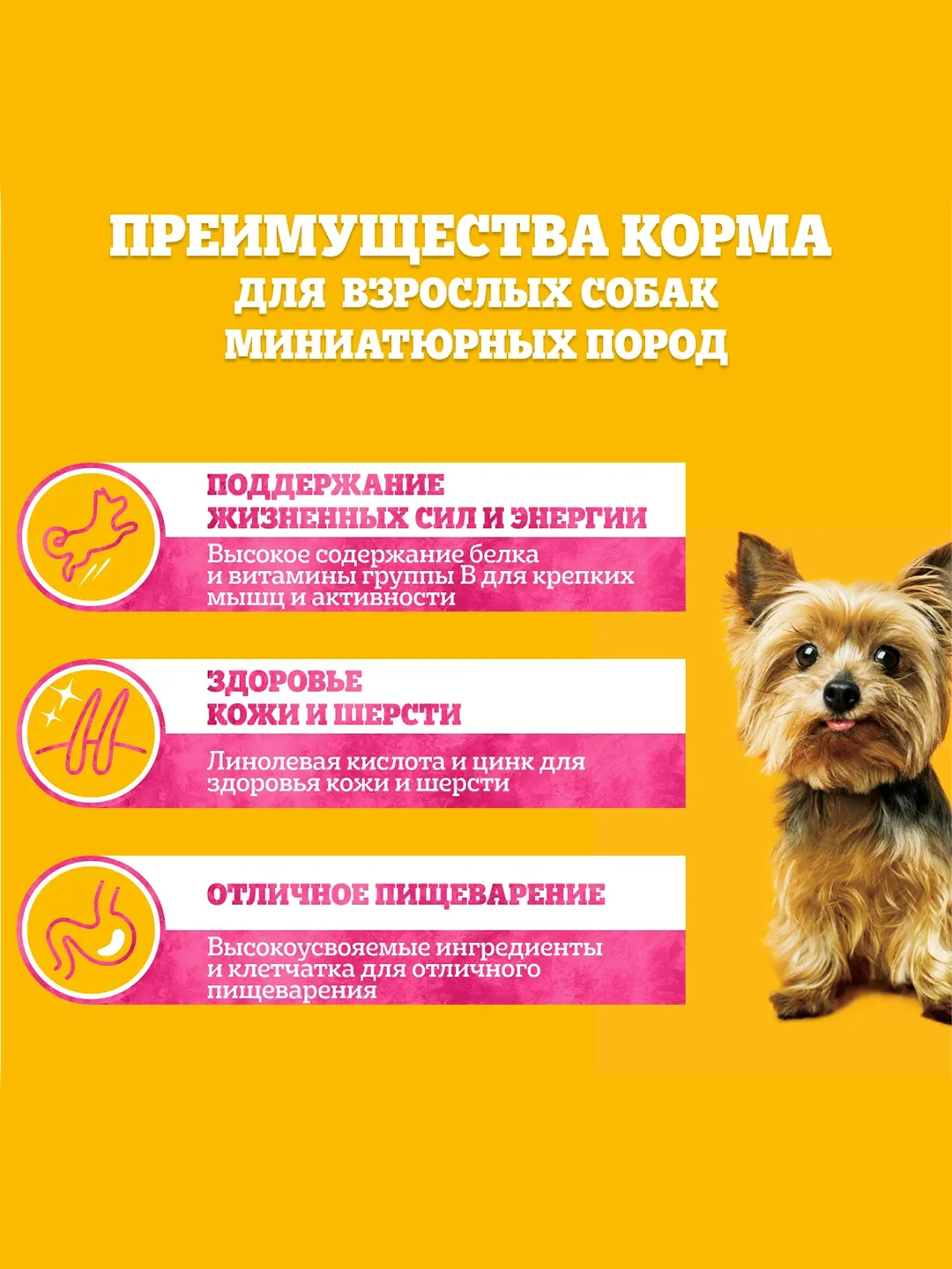 Влажный корм PEDIGREE® для миниатюрных пород, паштет с говядиной, 28x80г