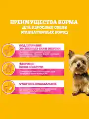 Влажный корм PEDIGREE® для миниатюрных пород, паштет с говядиной, 28x80г