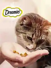 Лакомство для кошек Dreamies™ подушечки с курицей, 200г