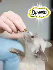 Лакомство для кошек Dreamies подушечки с курицей, 140г