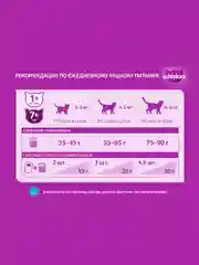 Сухой корм WHISKAS® для кошек «Вкусные подушечки с нежным паштетом, с говядиной», 5кг