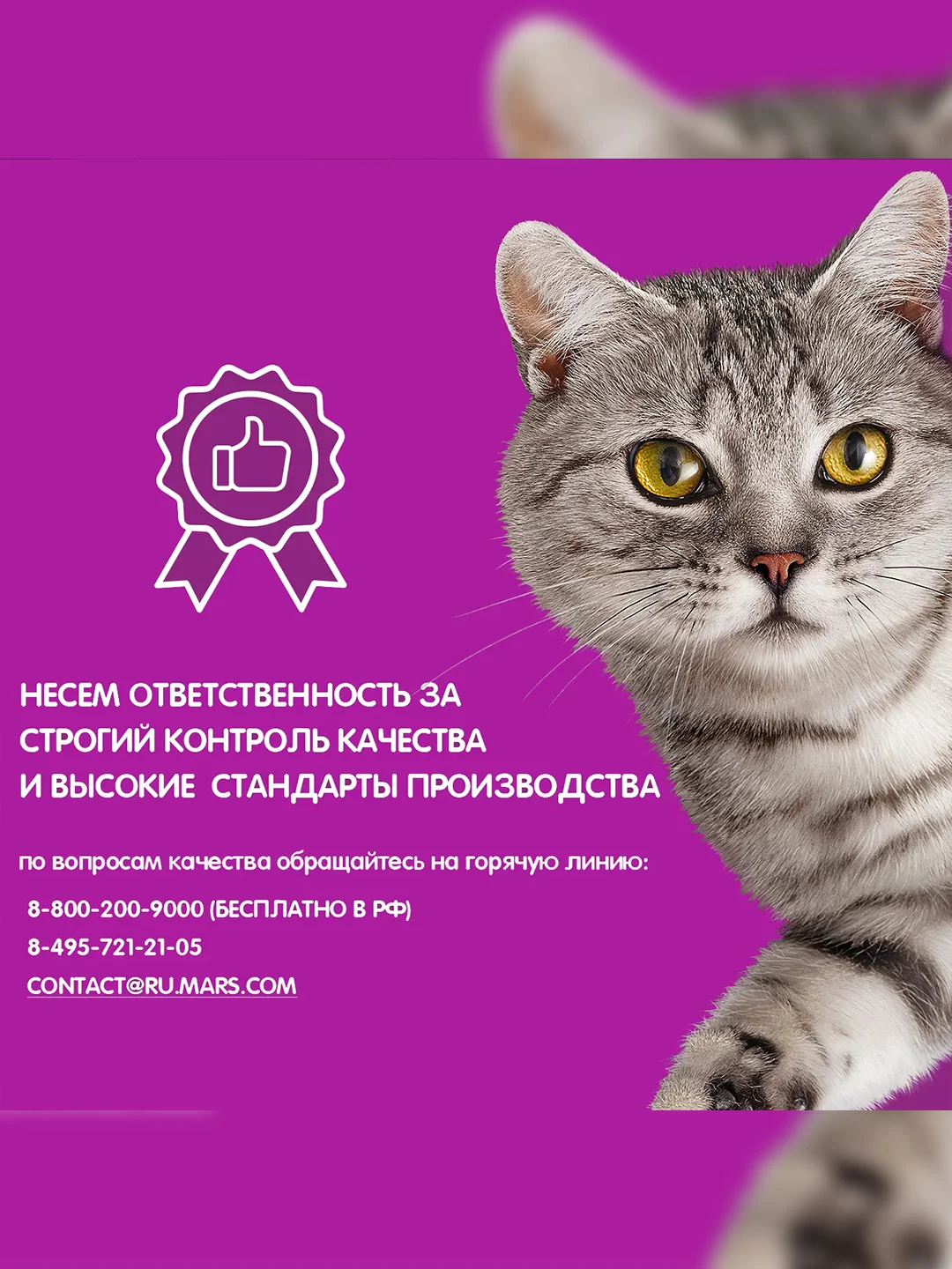 Сухой корм WHISKAS® для кошек «Вкусные подушечки с нежным паштетом, с говядиной», 5кг