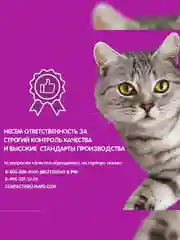 Сухой корм WHISKAS® для кошек «Вкусные подушечки с нежным паштетом, с говядиной», 5кг