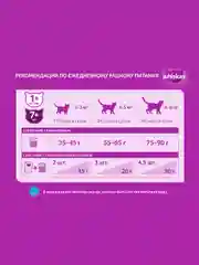 Сухой корм WHISKAS® для кошек «Подушечки с паштетом, Аппетитный обед с говядиной», 13.8кг