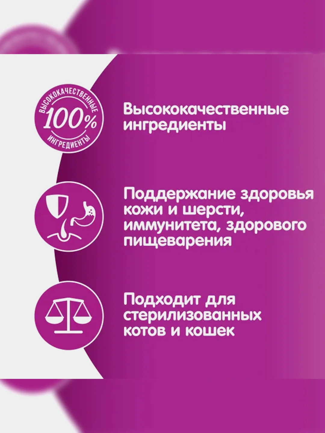 Сухой корм WHISKAS® для кошек «Подушечки с паштетом, Аппетитный обед с говядиной», 13.8кг
