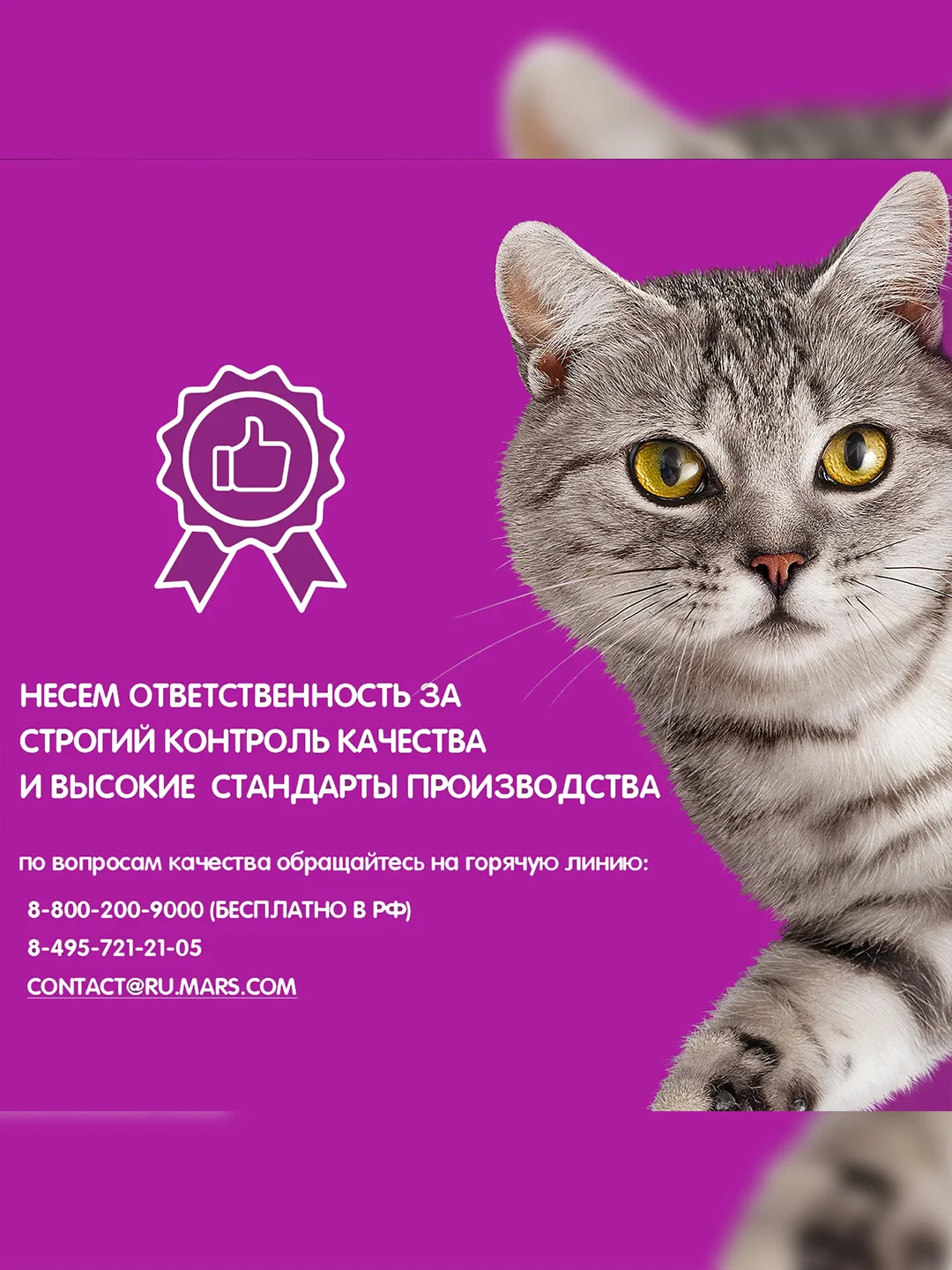 Сухой корм WHISKAS® для кошек «Подушечки с паштетом, Аппетитный обед с говядиной», 13.8кг