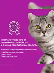 Сухой корм WHISKAS® для кошек «Подушечки с паштетом, Аппетитный обед с говядиной», 13.8кг