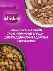 Сухой корм WHISKAS® для кошек «Подушечки с паштетом, Аппетитный обед с говядиной», 13.8кг