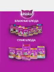 Влажный корм WHISKAS® для кошек, желе с говядиной и кроликом, 28 шт по 75г
