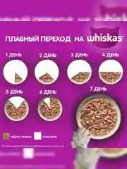 Влажный корм WHISKAS® для кошек, желе с курицей, 28 шт по 75г