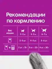 Влажный корм WHISKAS® для кошек, рагу с курицей, 28 шт по 75г