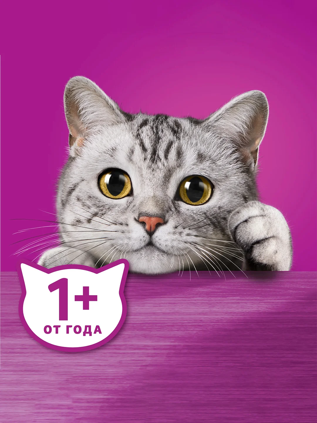 Влажный корм WHISKAS® для кошек, рагу с курицей, 28 шт по 75г
