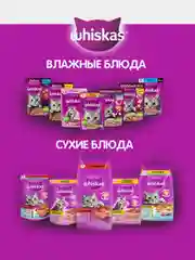 Влажный корм WHISKAS® для кошек, рагу с курицей, 28 шт по 75г