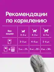 Влажный корм WHISKAS® для котят от 1 до 12 месяцев, рагу с курицей, 28 шт по 75г
