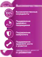 Влажный корм WHISKAS® для котят от 1 до 12 месяцев, рагу с курицей, 28 шт по 75г