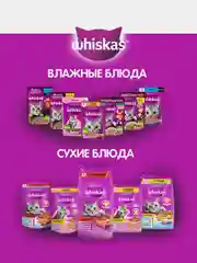 Влажный корм WHISKAS® для котят от 1 до 12 месяцев, рагу с курицей, 28 шт по 75г