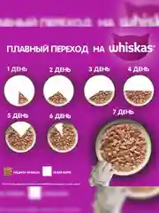Влажный корм WHISKAS® для котят от 1 до 12 месяцев, рагу с курицей, 28 шт по 75г