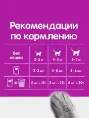 Влажный корм WHISKAS® «Мясная коллекция» для кошек, с курицей, 28 шт по 75г