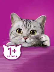 Влажный корм WHISKAS® «Мясная коллекция» для кошек, с курицей, 28 шт по 75г