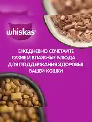 Влажный корм WHISKAS® «Рыбная коллекция» для кошек, с лососем, 28 шт по 75г