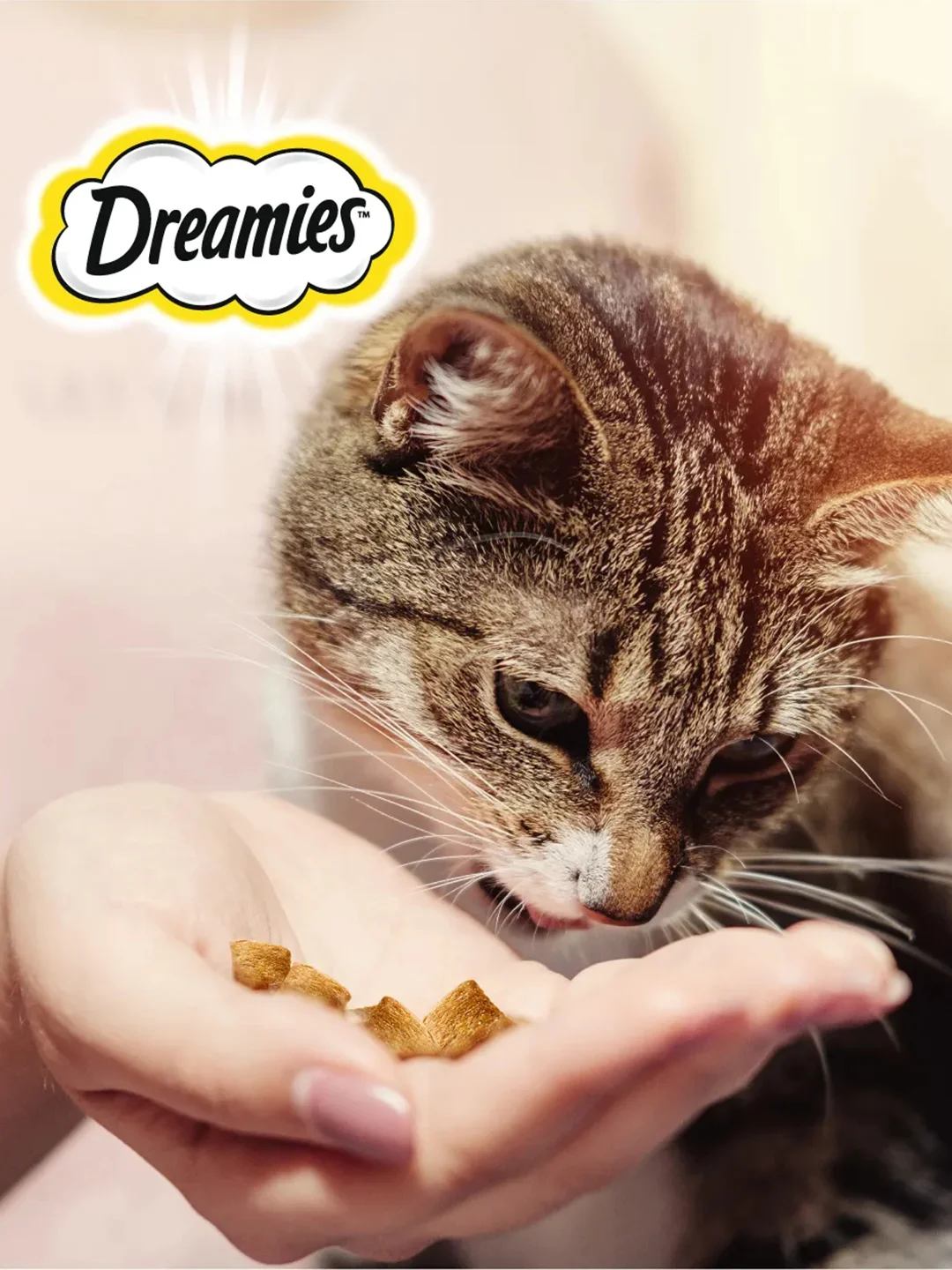 Лакомство для кошек Dreamies подушечки с сыром, 60г