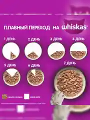 Влажный корм WHISKAS® для кошек, рагу с индейкой и кроликом, 28 шт по 75г