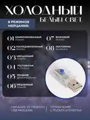 Гирлянда штора занавес, 3 х 3, 3 х 2 метра, с пультом, с крючками, холодный белый свет