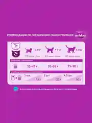 Сухой корм WHISKAS® для взрослых кошек «Подушечки с паштетом. Обед с лососем», 350г