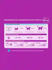 Сухой корм WHISKAS® для стерилизованных кошек, с курицей и вкусными подушечками, 350г