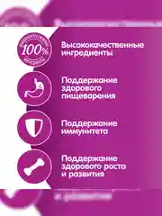 Влажный корм WHISKAS® для котят от 1 до 12 месяцев, рагу с ягненком, 28 шт по 75г