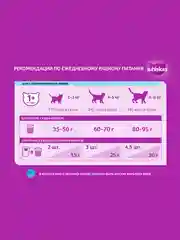 Сухой корм WHISKAS® для стерилизованных кошек, с говядиной и вкусными подушечками, 350г