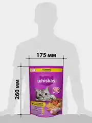 Сухой корм WHISKAS® для кошек «Подушечки с паштетом. Ассорти с курицей и индейкой», 350г