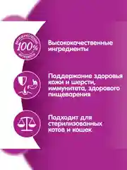 Сухой корм WHISKAS® для кошек «Вкусные подушечки с нежным паштетом, с говядиной», 350г