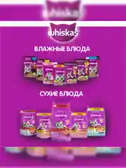 Сухой корм WHISKAS® для кошек «Подушечки с паштетом. Ассорти с курицей и индейкой», 800г