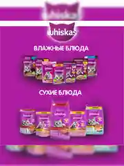 Сухой корм WHISKAS® для кошек «Вкусные подушечки с нежным паштетом, с говядиной», 800г