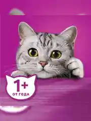 Влажный корм WHISKAS® «Мясная коллекция» для кошек, с говядиной, 28 шт по 75г