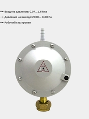 Редуктор для газового баллона пропановый РДСГ 1-1.2 Лягушка