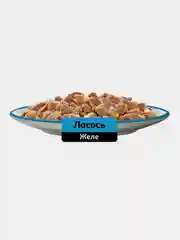 Влажный корм WHISKAS® для кошек, желе с лососем, 28 шт по 75г