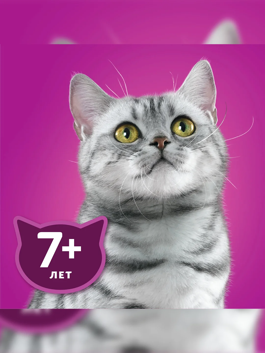 Влажный корм WHISKAS® для кошек старше 7 лет, рагу с курицей, 28 шт по 75г