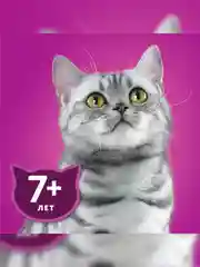 Влажный корм WHISKAS® для кошек старше 7 лет, рагу с курицей, 28 шт по 75г