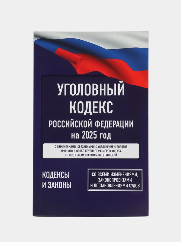 Уголовный кодекс РФ на 2025 г, со всеми изменениями, законопроектами и постановлениями судов