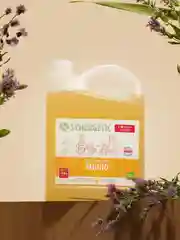 Мыло жидкое SYNERGETIC "Полевые цветы", 2,75 л