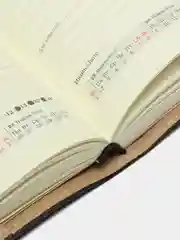 Ежедневник датированный 2025 Brauberg, планер планинг записная книжка А5, под кожу