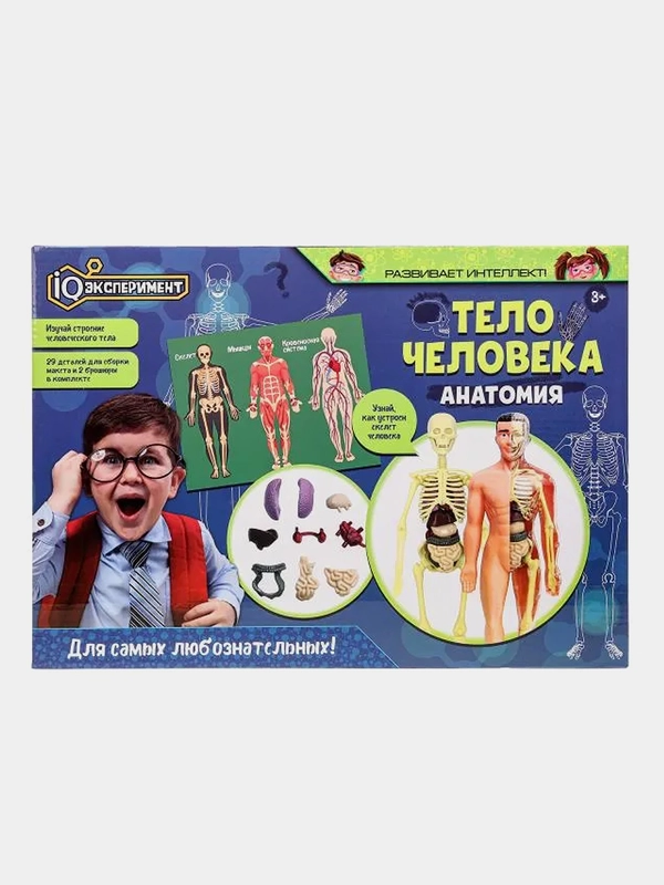 Игрушка IQ Эксперимент Опыты анатомия Тело человека